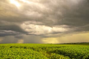 A tropical summer storm that hits a soybean farm for human consumption. Agriculture area in southern Brazil. Grain production for export. Agribusiness.