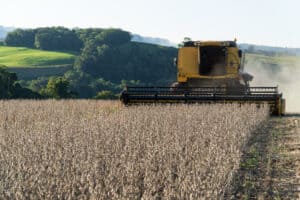 Soybean harvest with harvester in southern Brazil