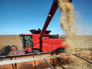 Soybean Harvest in Argentina